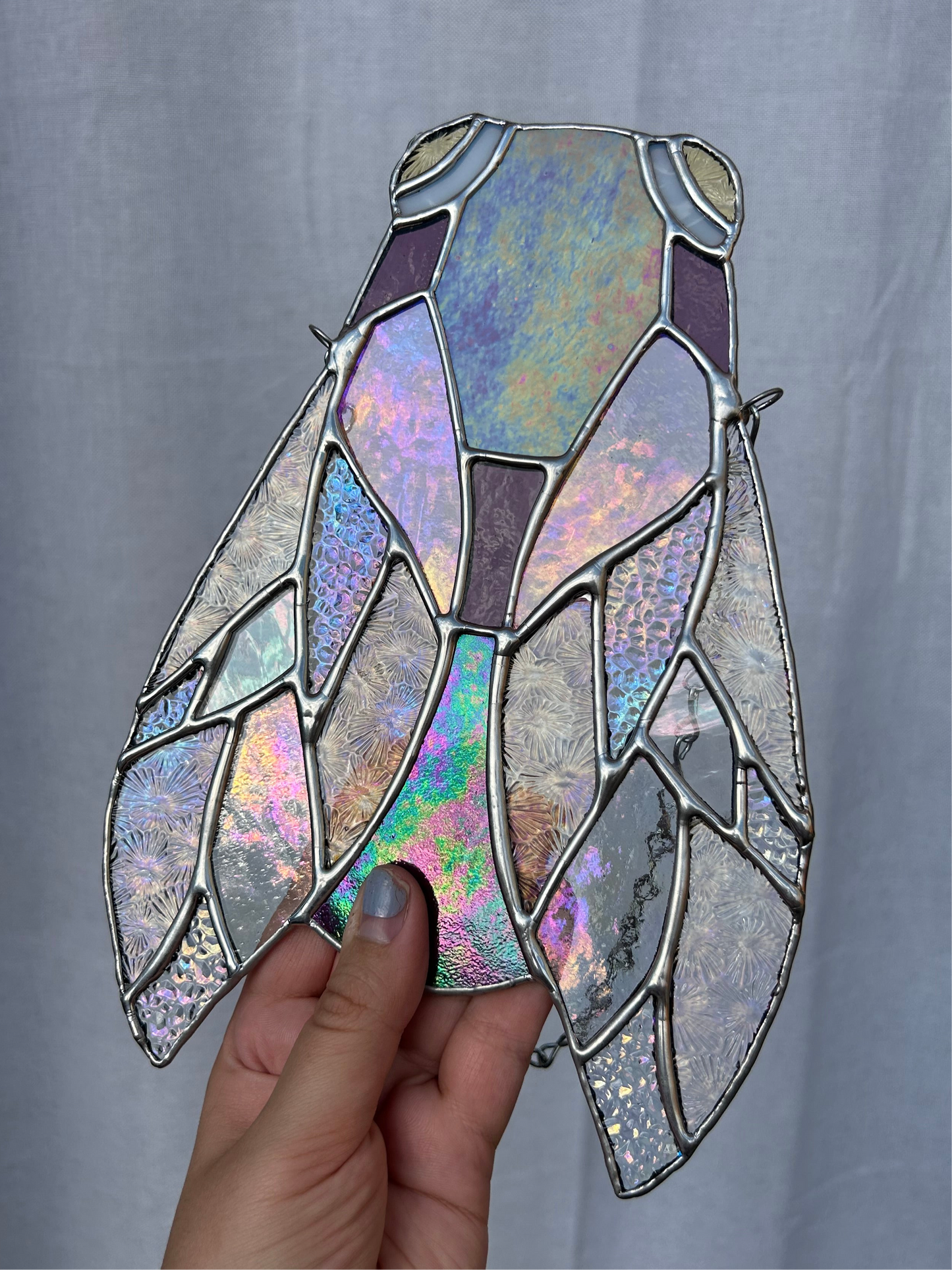 Purple Irid Cicada