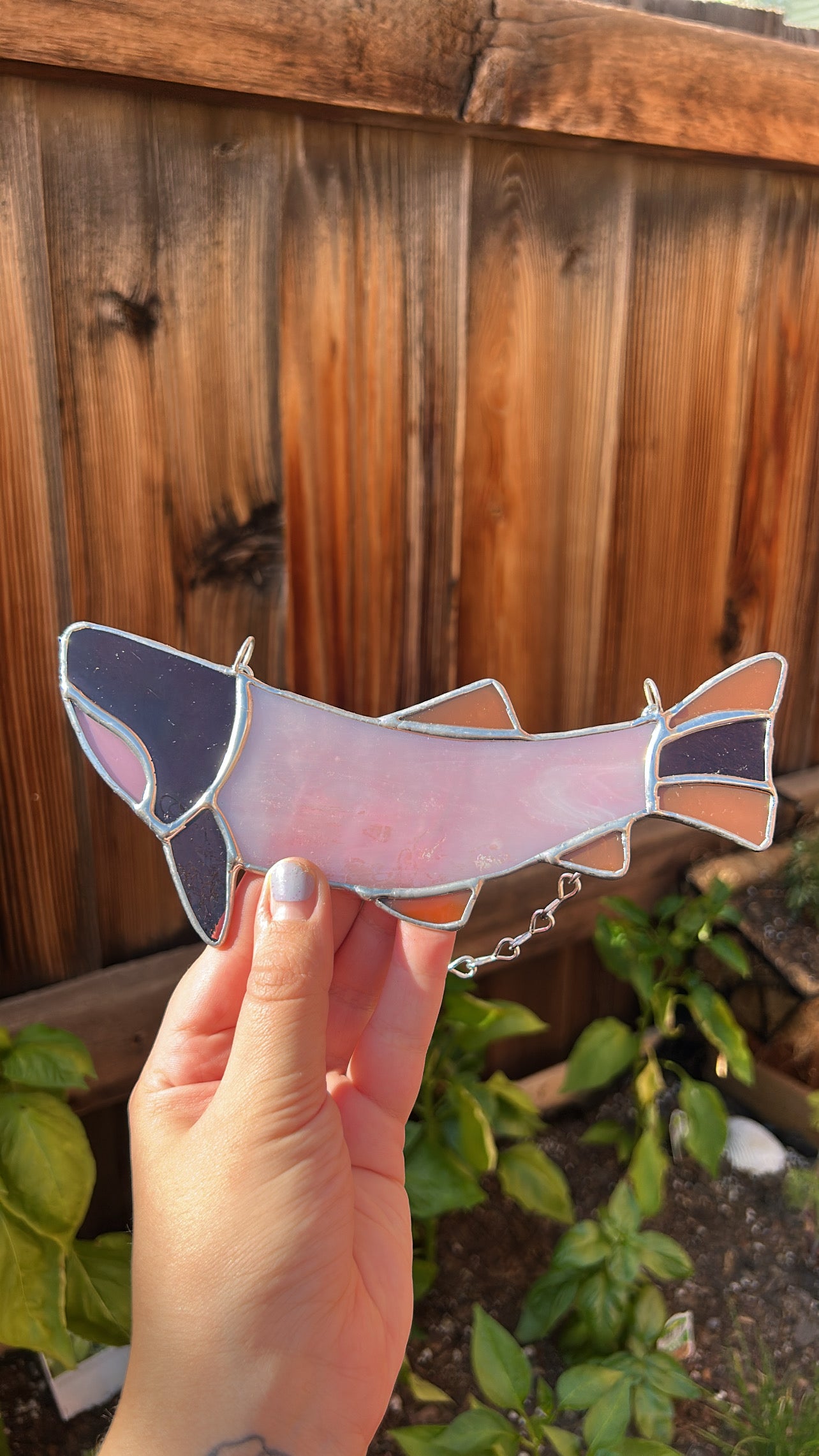 Purple & Pink Fish