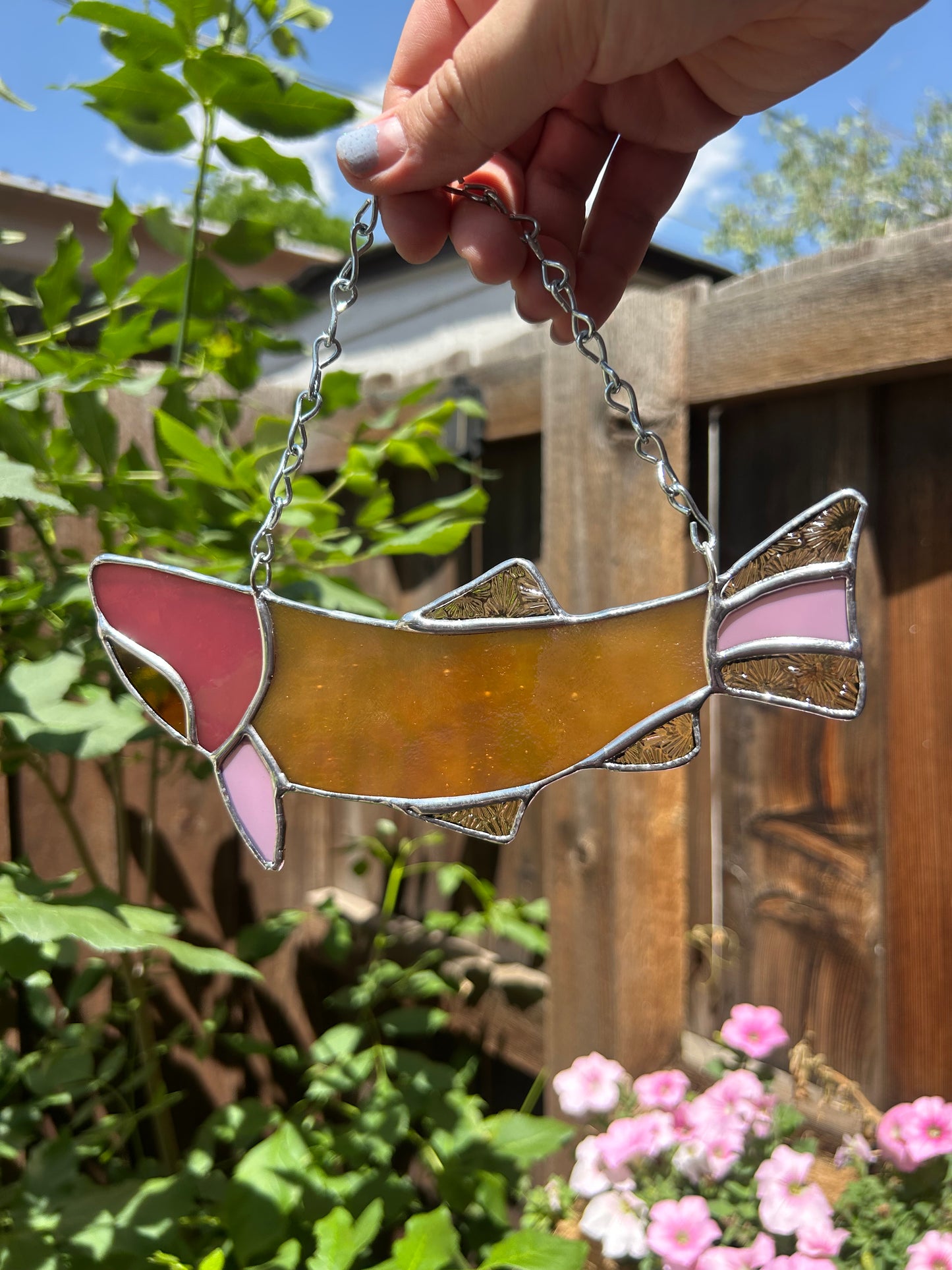 Orange & Pink Fish