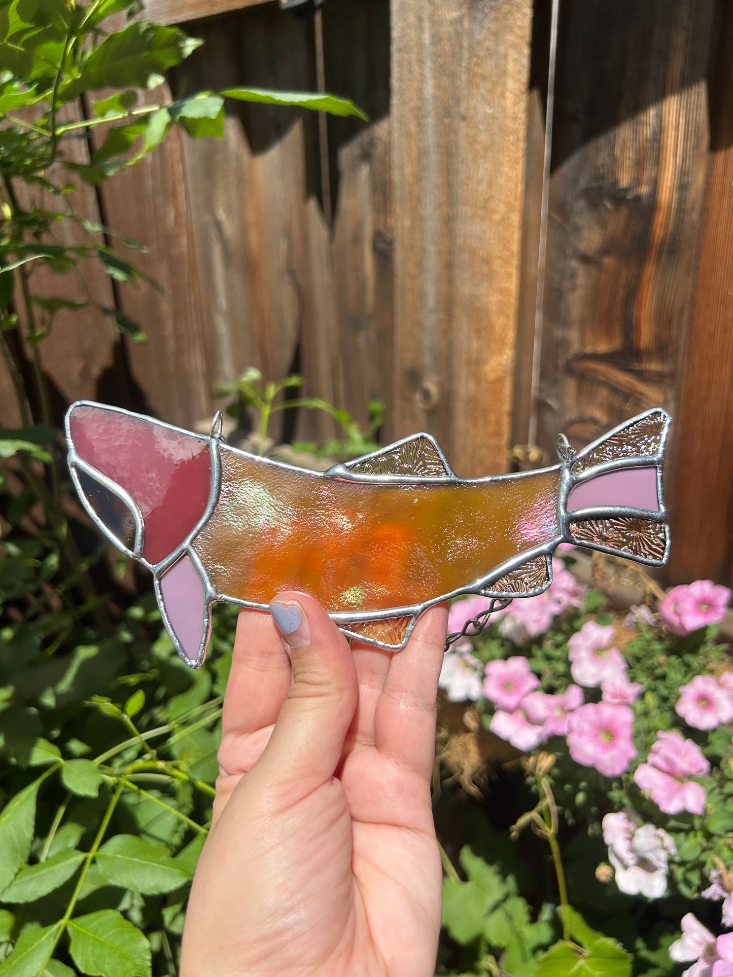 Orange & Pink Fish