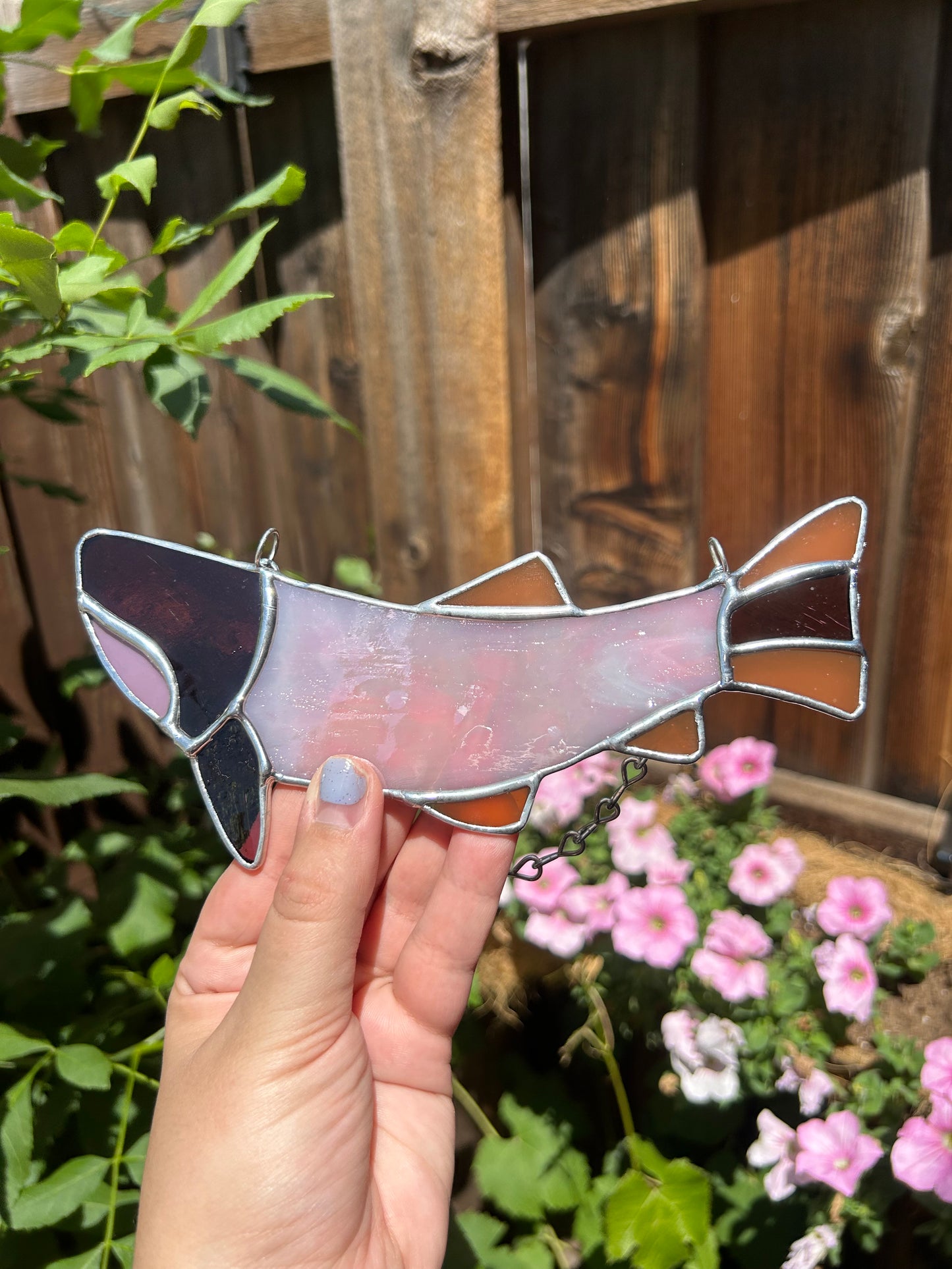 Purple & Pink Fish