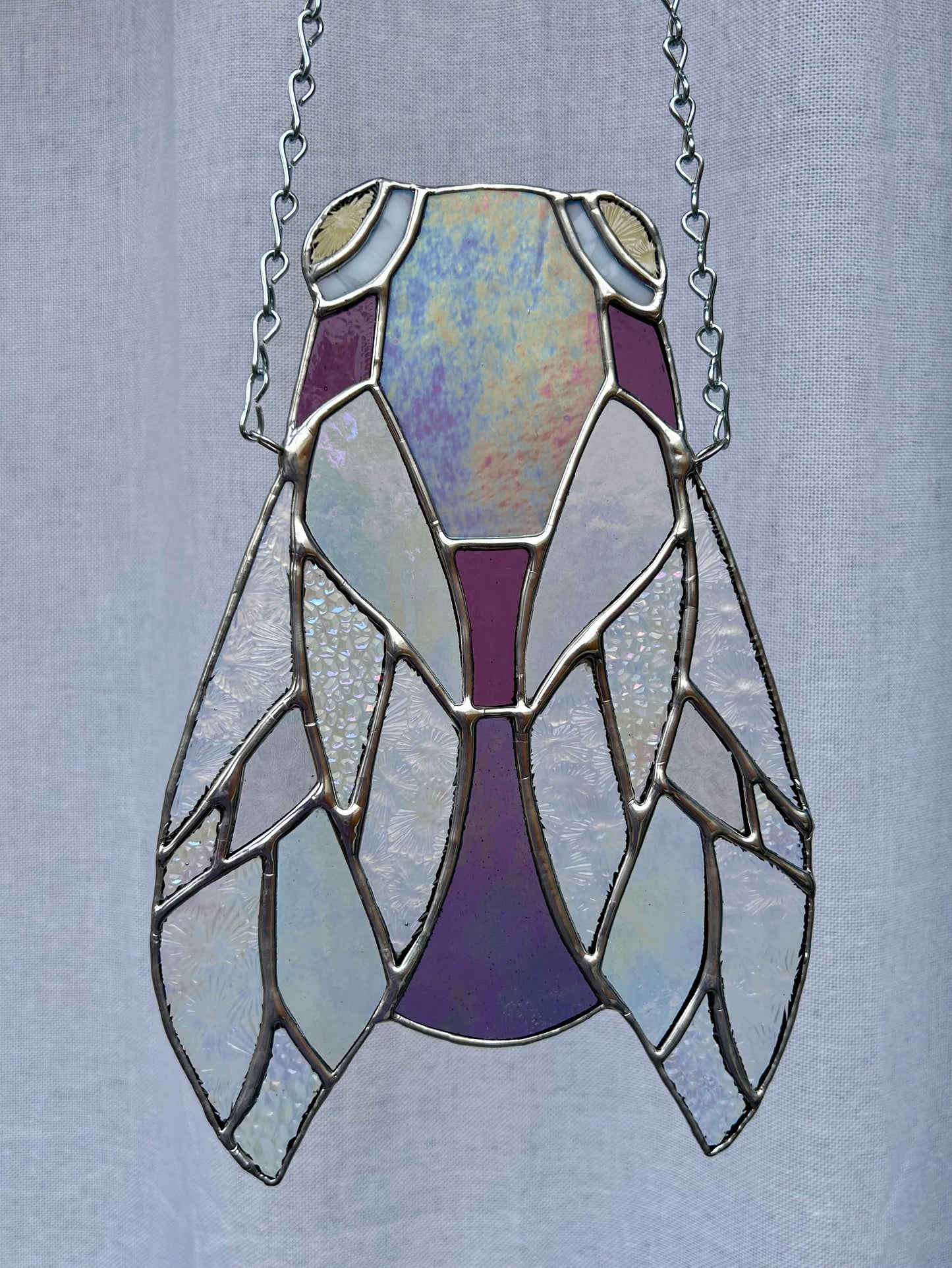 Purple Irid Cicada