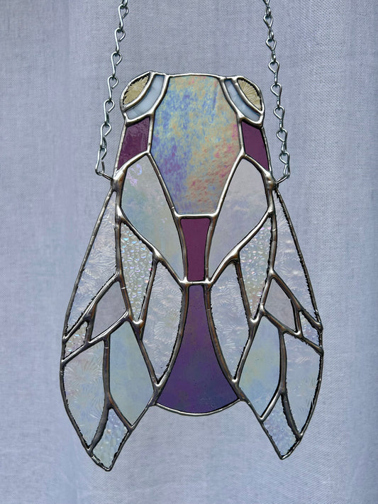 Purple Irid Cicada
