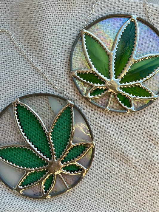 “Is that a weed?”